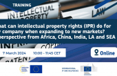 Cum pot drepturile de proprietate intelectuală - IPR să ajute companiile când doresc extinderea pe noi pieţe externe?